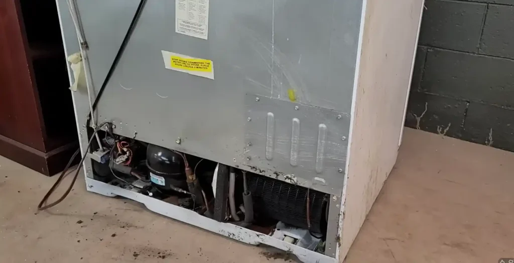 Service de Refrigeración Mar del Plata Reparación de heladeras y freezers en Mar del Plata service especializado No Frost